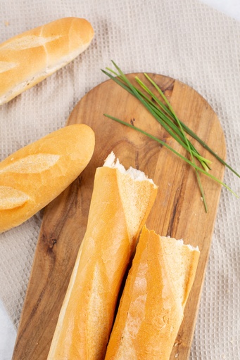[BME101] BAGUETTE MEDIANO